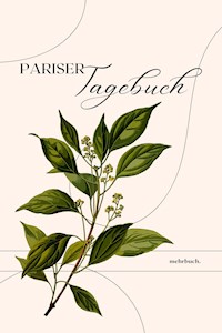 Pariser Tagebuch - Theodor Wolff - E-Book