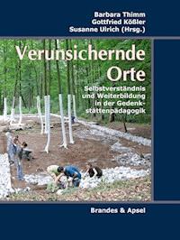 Verunsichernde Orte - Monique Eckmann - E-Book