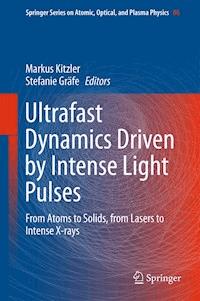 Ultrafast Dynamics Driven by Intense Light Pulses -  - E-Book