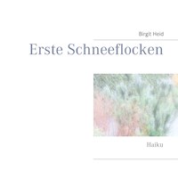Erste Schneeflocken - Birgit Heid - E-Book
