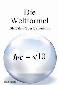 Die Weltformel - Halit Eroglu - E-Book