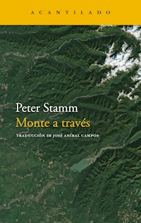 Monte a través - Peter Stamm - E-Book