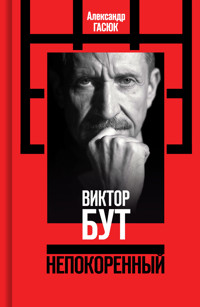 Виктор Бут - Александр Гасюк - E-Book