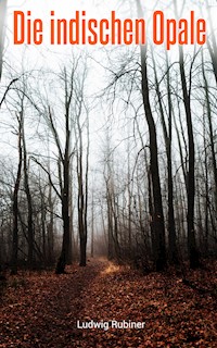 Die indischen Opale - Ludwig Rubiner - E-Book