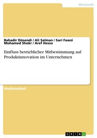 Einfluss betrieblicher Mitbestimmung auf Produktinnovation im Unternehmen - Bahadir Düsendi - E-Book