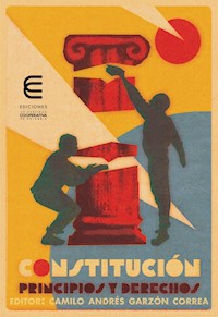 Constitución, principios y derechos - Esteban Buriticá Arango - E-Book