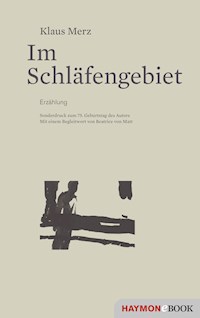 Im Schläfengebiet - Klaus Merz - E-Book