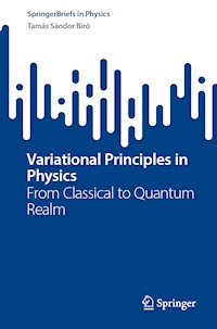 Variational Principles in Physics - Tamás Sándor Biró - E-Book