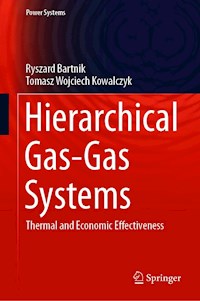 Hierarchical Gas-Gas Systems - Ryszard Bartnik - E-Book