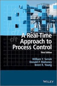 A Real-Time Approach to Process Control - William Y. Svrcek - E-Book