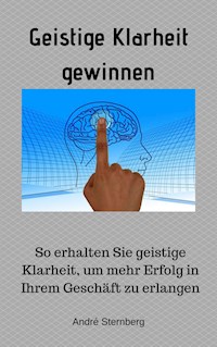 Geistige Klarheit gewinnen - Andre Sternberg - E-Book