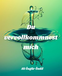 Du vervollkommnest mich - Ali Özgür Özdil - E-Book