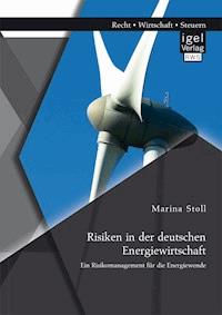 Risiken in der deutschen Energiewirtschaft. Ein Risikomanagement für die Energiewende - Marina Stoll - E-Book
