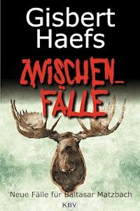 Zwischenfälle - Gisbert Haefs - E-Book