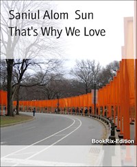 That's Why We Love - Saniul Alom Sun - E-Book