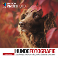 Hundefotografie - Anne Geier - E-Book
