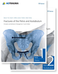 Fractures of the Pelvis and Acetabulum - Marvin Tile - E-Book