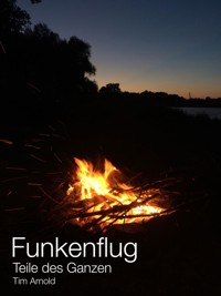 Funkenflug - Tim Arnold - kostenlos E-Book