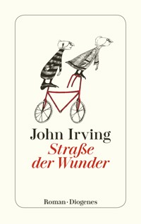 Straße der Wunder - John Irving - E-Book