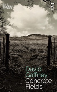 Concrete Fields - David Gaffney - E-Book