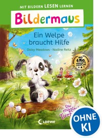 Bildermaus - Einsatz für die Insel-Detektive - Sonja Kaiblinger - E-Book