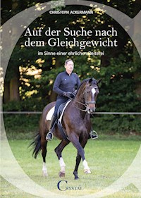 Auf der Suche nach dem Gleichgewicht - Christoph Ackermann - E-Book