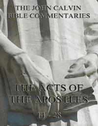 John Calvin's Commentaries On The Acts Vol. 2 - John Calvin - E-Book