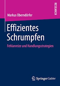 Effizientes Schrumpfen - Markus Oberndörfer - E-Book