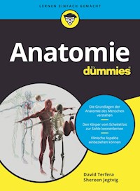 Anatomie für Dummies - David Terfera - E-Book