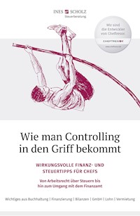 Wie man Controlling in den Griff bekommt - Ines Scholz - E-Book
