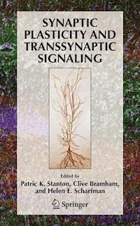 Synaptic Plasticity and Transsynaptic Signaling - - E-Book