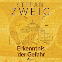 Erkenntnis der Gefahr  - Zweig Stefan - Hörbuch