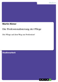 Die Professionalisierung der Pflege - Martin Römer - E-Book