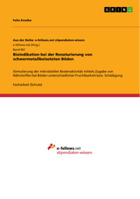 Bioindikation bei der Renaturierung von schwermetallbelasteten Böden - Felix Knothe - E-Book