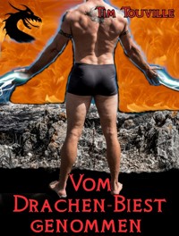 Vom Drachen-Biest genommen - Tim Touville - E-Book