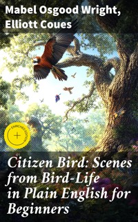 Citizen Bird: Scenes from Bird-Life in Plain English for Beginners - Mabel Osgood Wright - E-Book