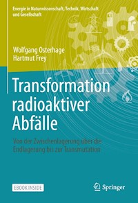 Transformation radioaktiver Abfälle - Wolfgang Osterhage - E-Book