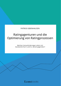 Ratingagenturen und die Optimierung von Ratingprozessen. Welchen Herausforderungen sehen sich Standard & Poor's und Co. derzeit gegenüber? - Patrick Odenhausen - E-Book