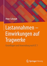 Lastannahmen - Einwirkungen auf Tragwerke - Peter Schmidt - E-Book