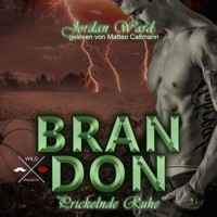 Brandon - Secret Desire - Prickelnde Ruhe, Band 3 (ungekürzt) - Jordan Ward - Hörbuch