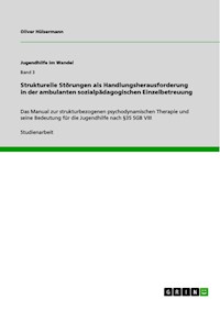 Strukturelle Störungen als Handlungsherausforderung in der ambulanten sozialpädagogischen Einzelbetreuung - Oliver Hülsermann - E-Book