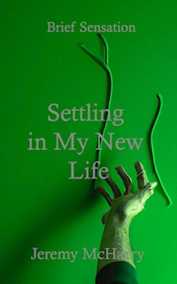 Settling in My New Life - Jeremy McHarry - E-Book