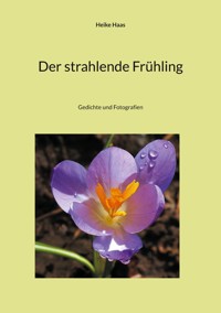 Der strahlende Frühling - Heike Haas - E-Book