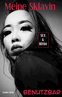 Meine Sklavin - Sandro Helm - E-Book