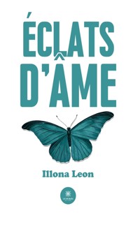 Éclats d’âme - Illona Leon - E-Book