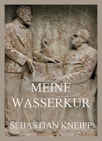Meine Wasserkur - Sebastian Kneipp - E-Book