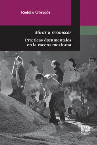 Mirar y reconocer. Prácticas documentales en la escena mexicana - Rodolfo Obregón - E-Book