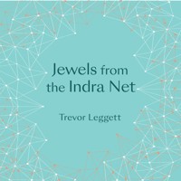 Jewels From The Indra Net - Trevor Leggett - Hörbuch