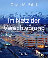 Im Netz der Verschwörung - Oliver M. Pabst - E-Book