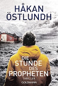 Die Stunde des Propheten - Håkan Östlundh - E-Book